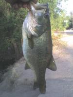 Bass Hart Park